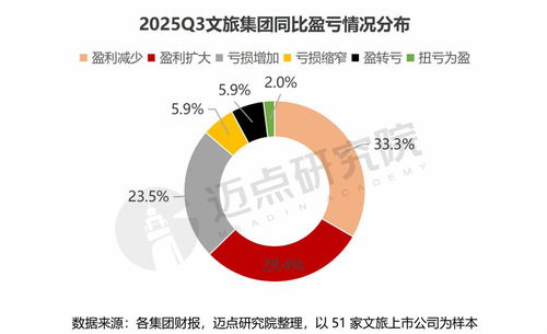 2025年第三季度文旅集團國內旅游業務財務分析報告